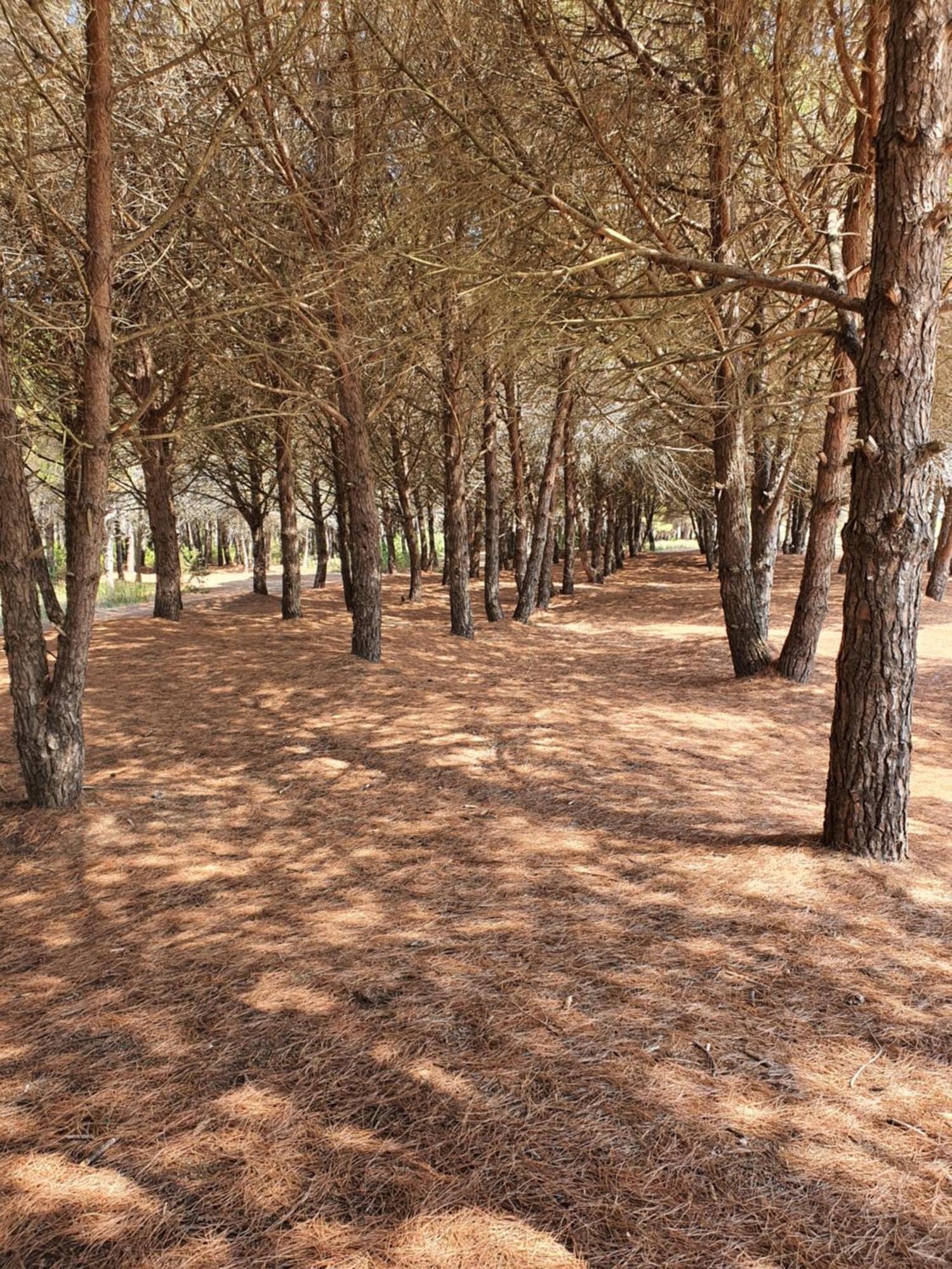Amber Hotel Albania Spille Dış mekan fotoğraf